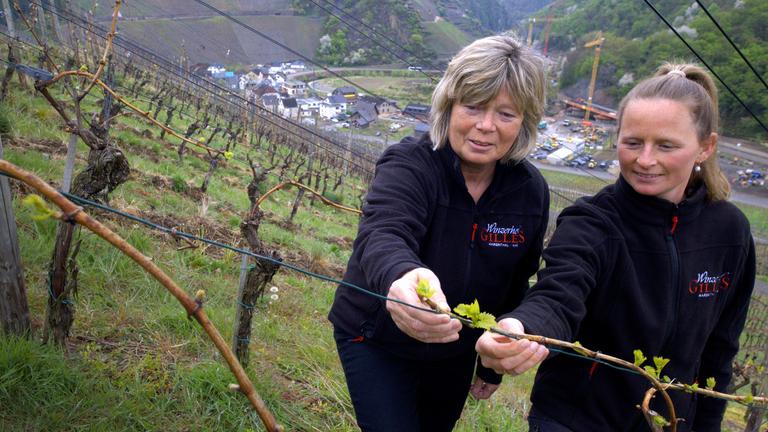 Zwei Winzerinnen im Weinberg