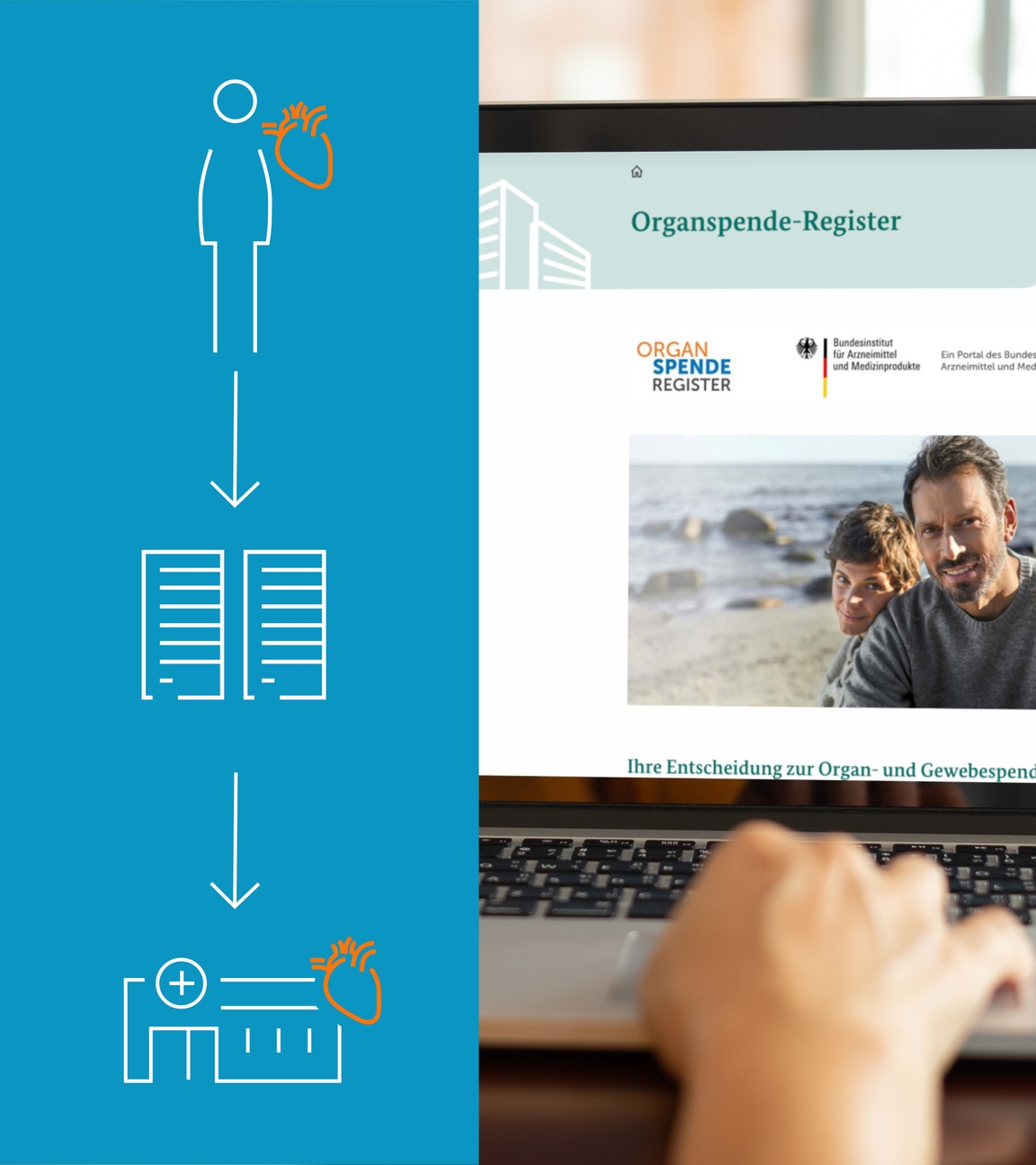 Webseite zu Organspende-Register und Grafik zur Organspende