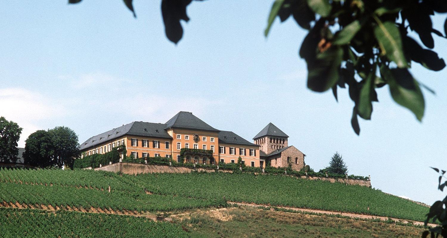 Blick auf die weinberge und schloss johannisberg im rheingau