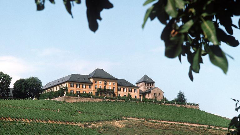 Blick auf die weinberge und schloss johannisberg im rheingau
