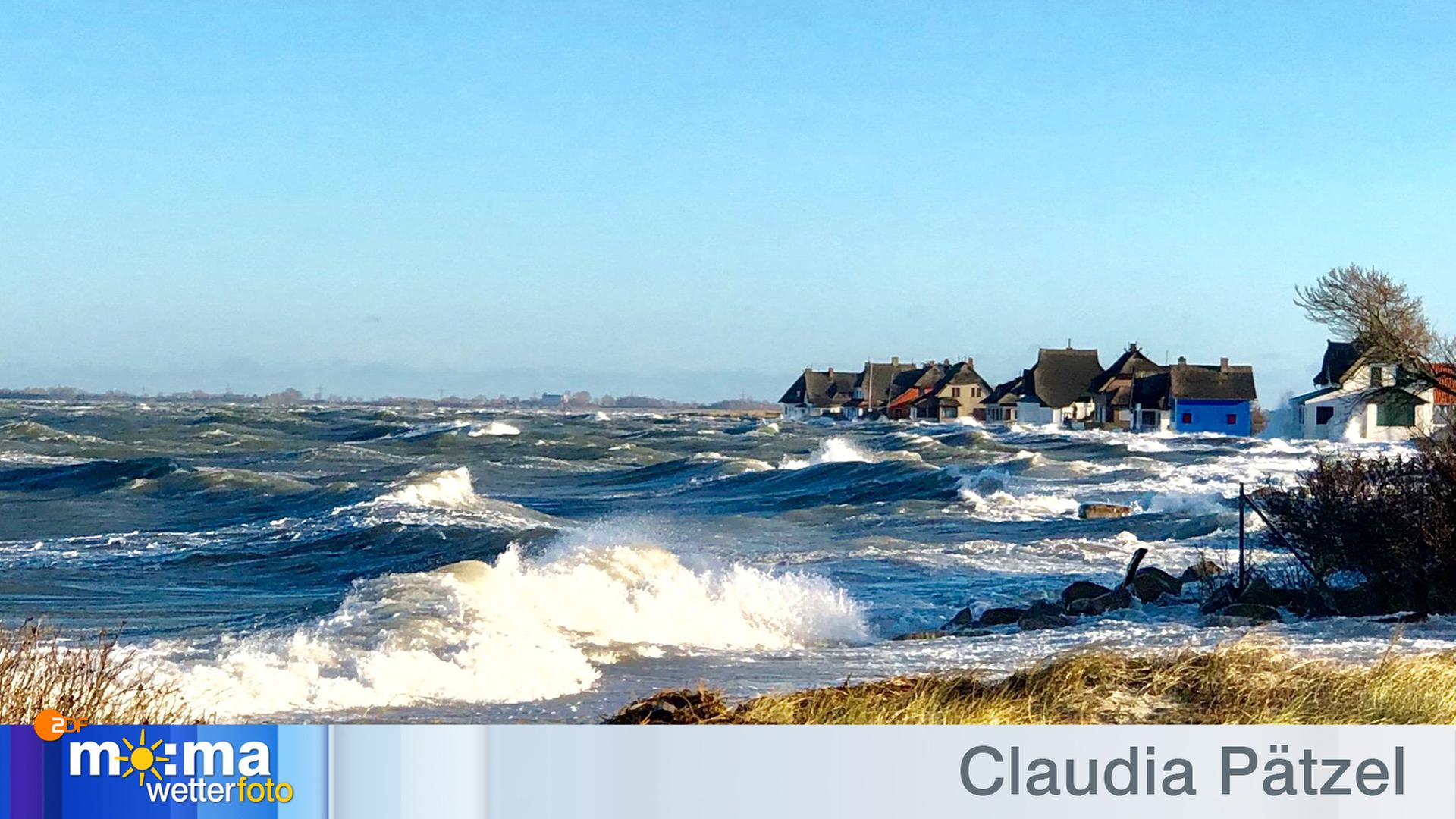 Gewinnerfoto vom 04. Januar 2019
