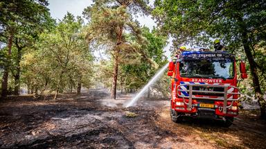 Niederlande, Oostrum: Die Feuerwehr bei Löscharbeiten in den Wäldern im Naturschutzgebiet Boschhuizerbergen. Rund 100 Hektar sind von dem Feuer betroffen. Der Großbrand im Naturgebiet im Osten der Niederlande ist bisher nicht unter Kontrolle.