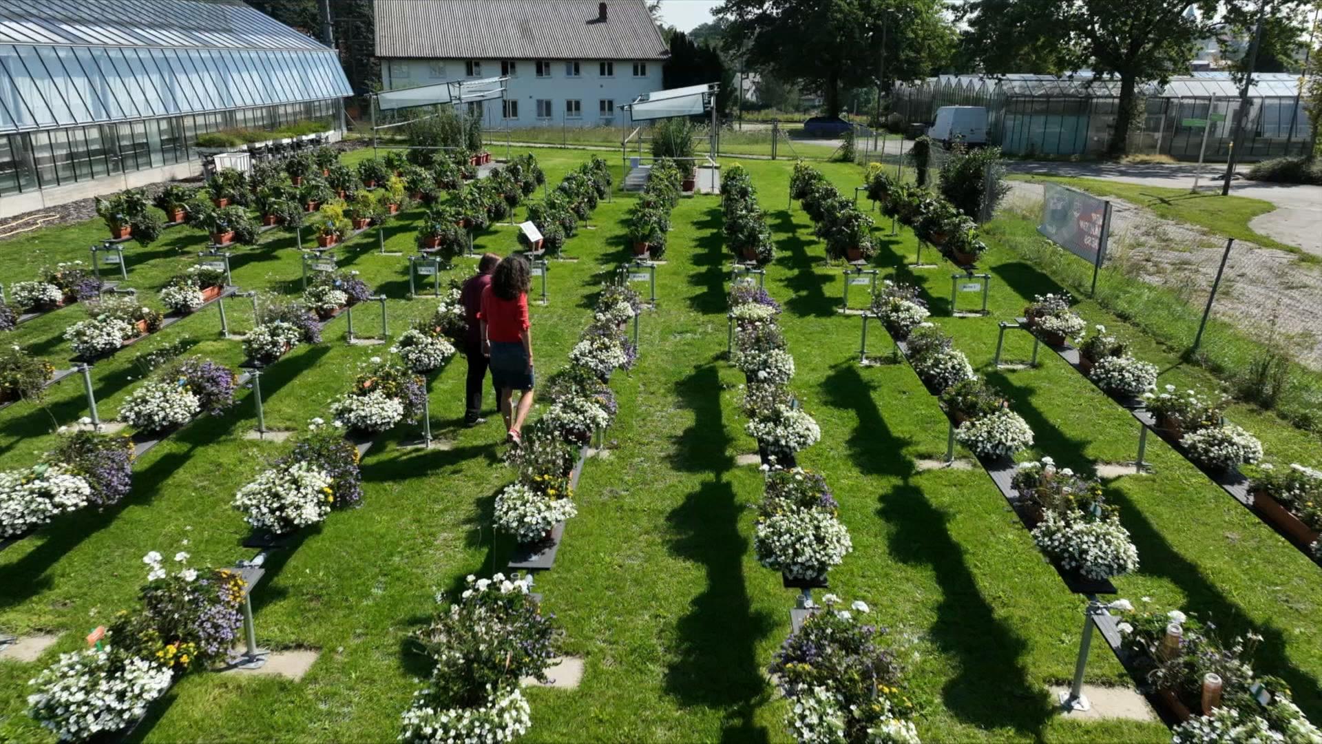 Platz im Garten: Gärtnern ohne Torf