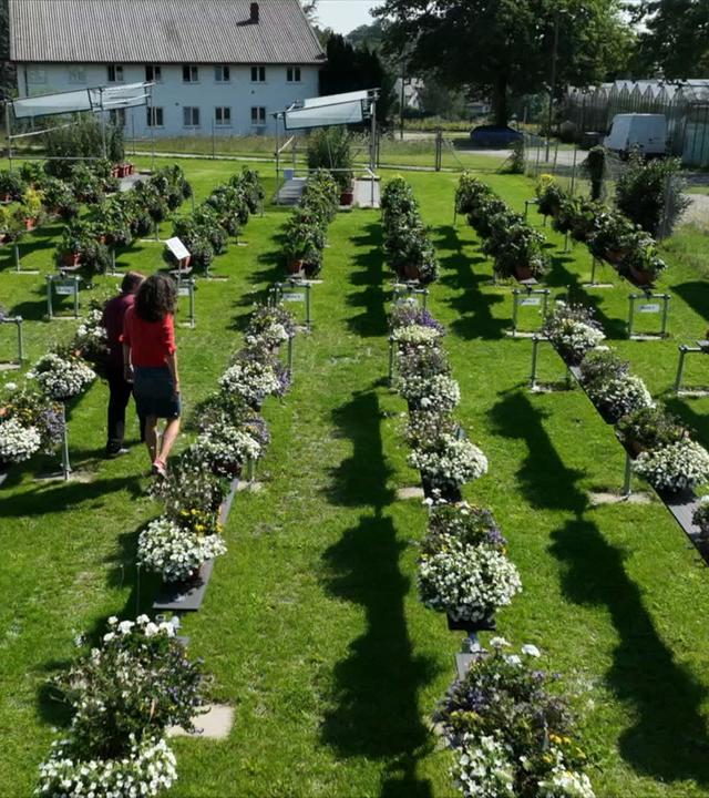 Platz im Garten: Gärtnern ohne Torf