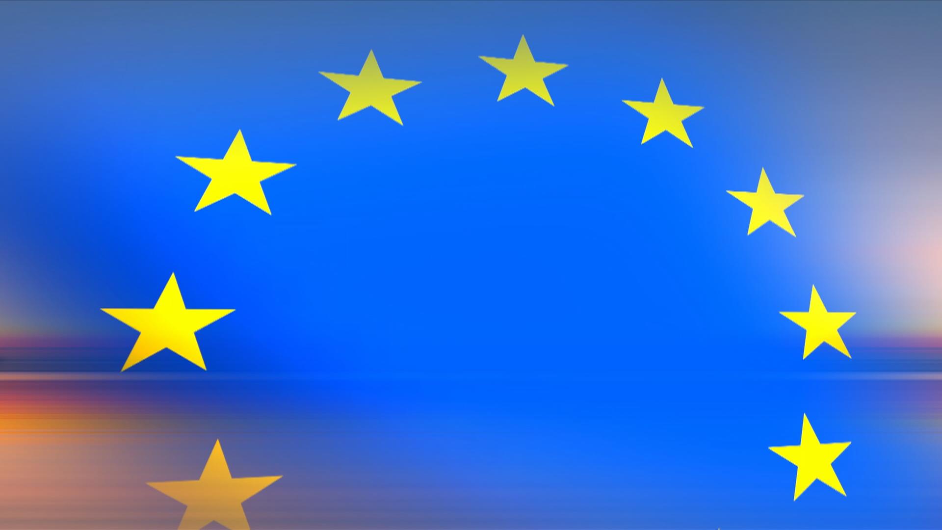 Europawahl: Kleinste Parteien