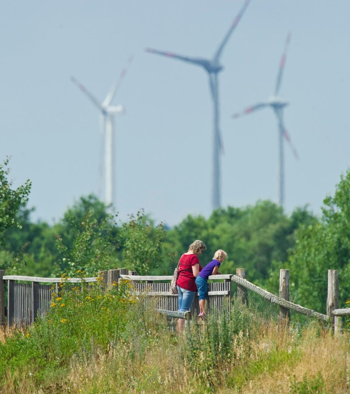 das naturschutzgebiet der heinz-sielmann-stiftung doeberitzer heide an der bundesstrasse b5 zwischen berlin und potsdam, aufgenommen am 04.08.2010. brandenburg hofft bei der neufassung des gesetzes fuer erneuerbare energie (eeg) auf ein einsehen des bundes. gewuenscht wird kuenftig eine weitere foerderung von photovoltaikanlagen auf naturschutzflaechen.