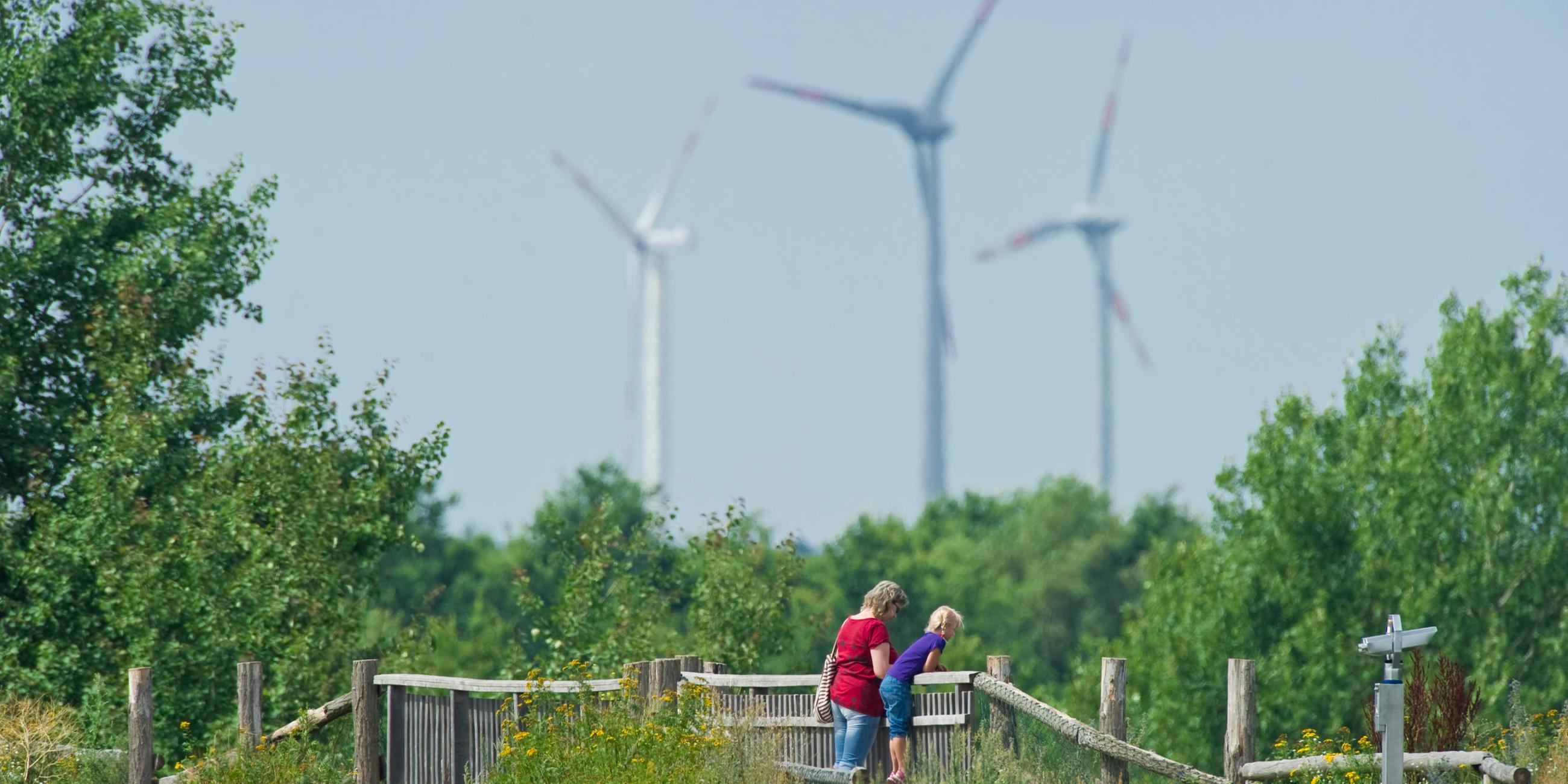das naturschutzgebiet der heinz-sielmann-stiftung doeberitzer heide an der bundesstrasse b5 zwischen berlin und potsdam, aufgenommen am 04.08.2010. brandenburg hofft bei der neufassung des gesetzes fuer erneuerbare energie (eeg) auf ein einsehen des bundes. gewuenscht wird kuenftig eine weitere foerderung von photovoltaikanlagen auf naturschutzflaechen.