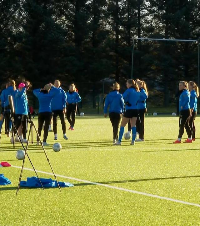 DFB-Frauen treffen auf Island 