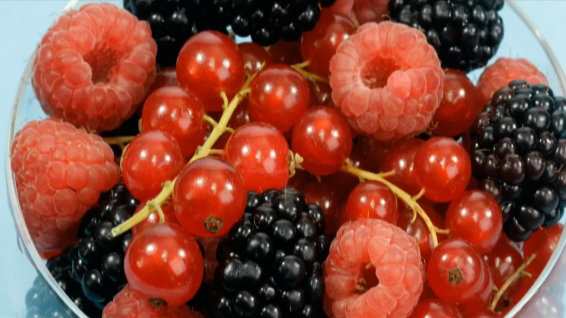 Service: Planetare Diät