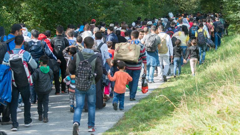 Flüchtlinge gehen am 16.09.2015 hinter der deutsch-österreichischen Grenze zwischen Salzburg und Deutschland nach Freilassing (Bayern) weiter in Richtung Deutschland.