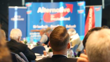 Delegierte der AfD beim Landesparteitag