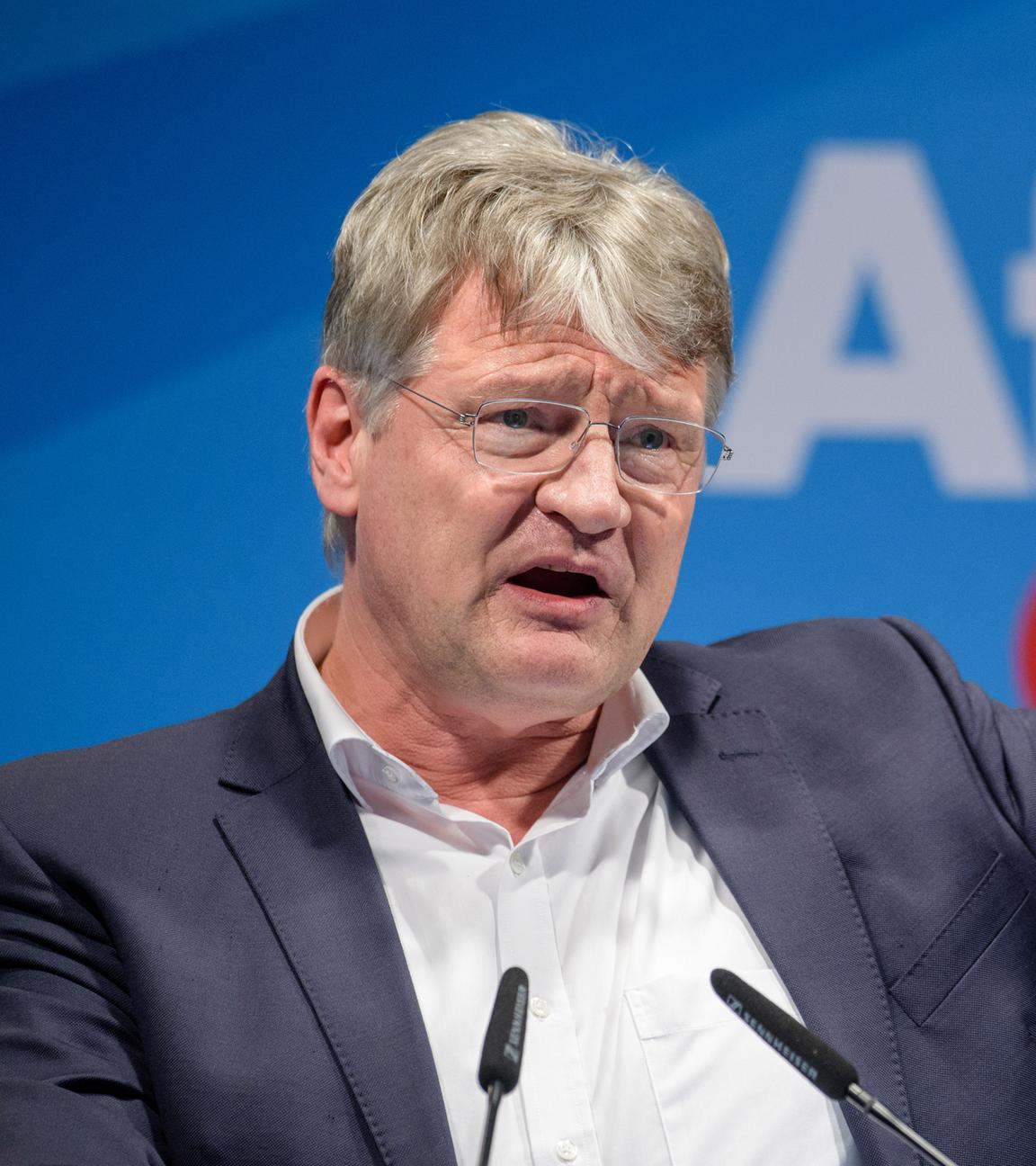 Meuthen AFD