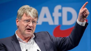 Meuthen AFD