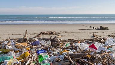 Am Strand liegt Plastikabfall