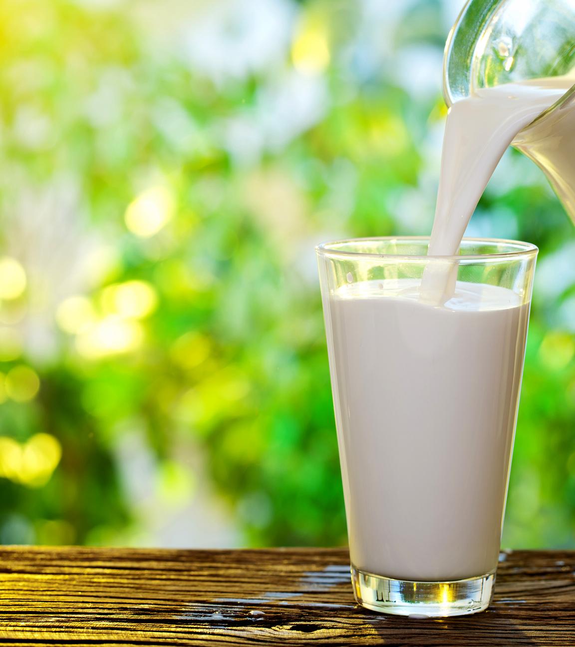 Milch
