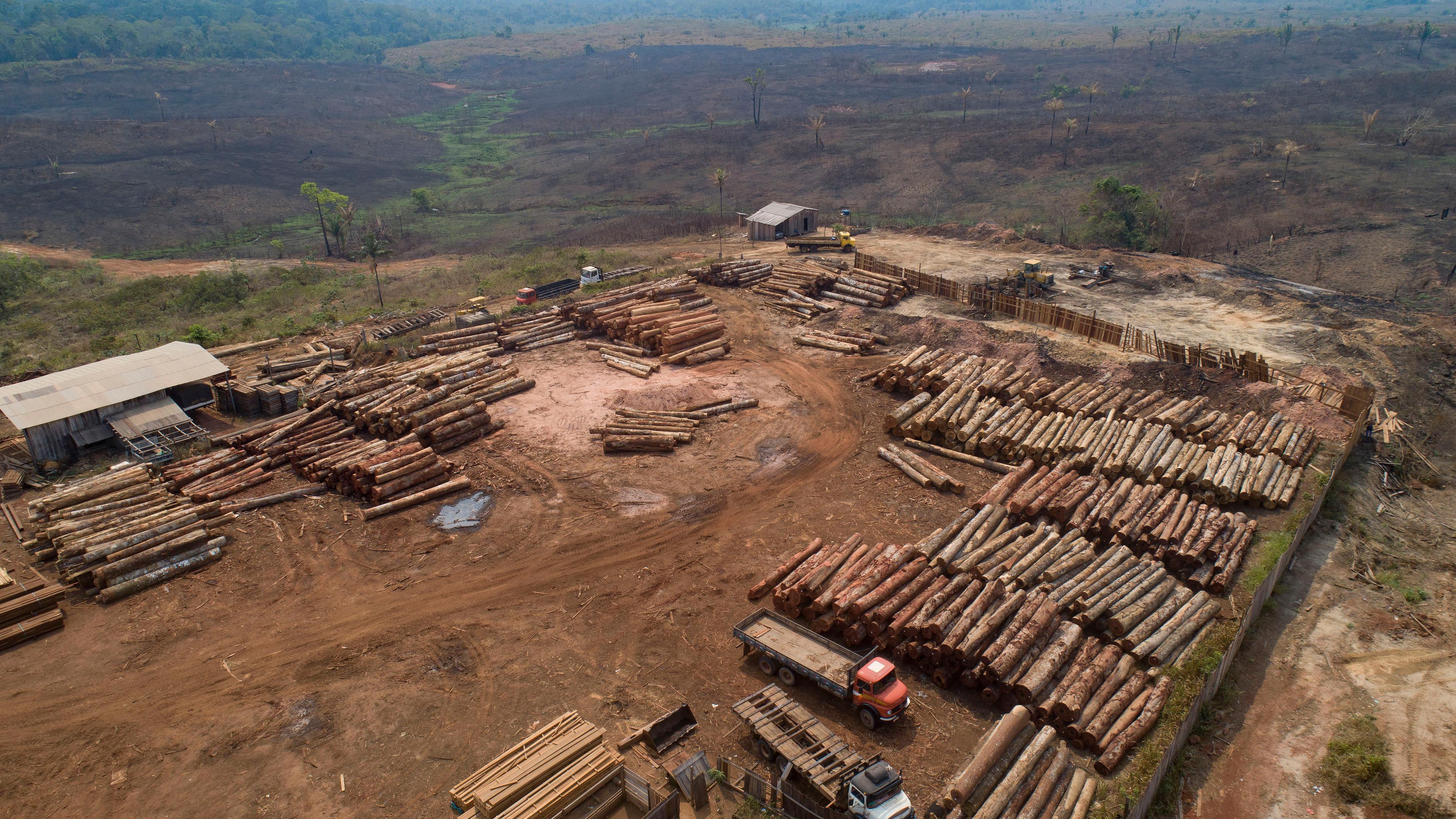 Brasilien, Porto Velho: Holzstämme werden in einem Sägewerk gestapelt, das von kürzlich verkohlten und abgeholzten Feldern umgeben ist. Trotz Beteuerungen der brasilianischen Regierung zum Schutz des Regenwaldes geht die Abholzung im brasilianischen Amazonasgebiet bisher in großem Maßstab weiter. 