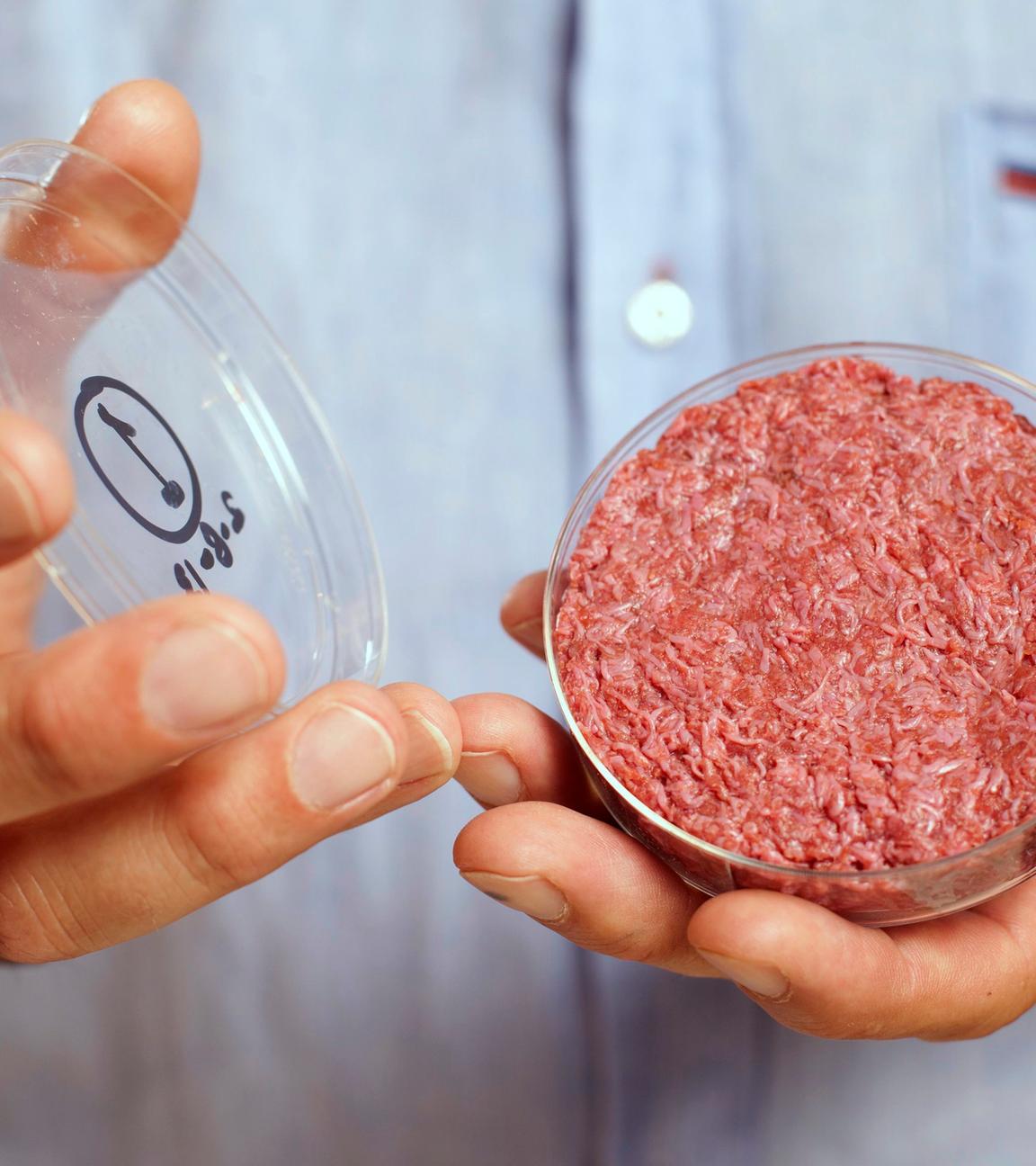 Gezüchtetes Fleisch in einer Petrischale