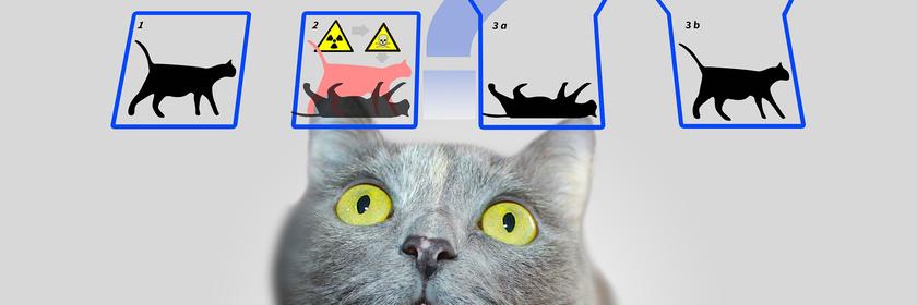 Schrödingers Katze