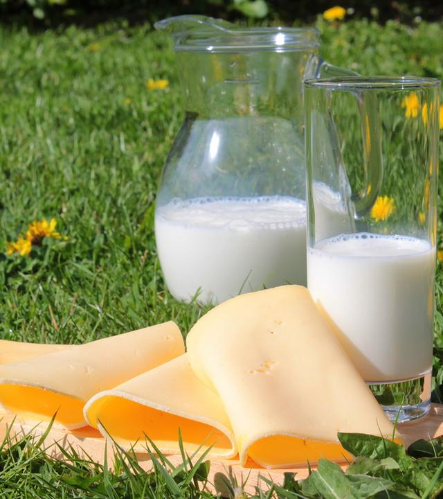 Glas mit Milch und Käse auf einer Wiese