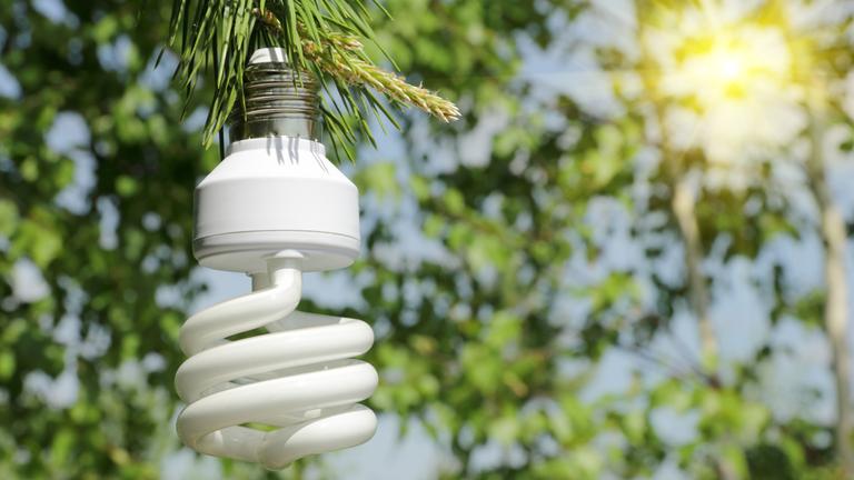 Energiesparlampe hängt an einem Ast