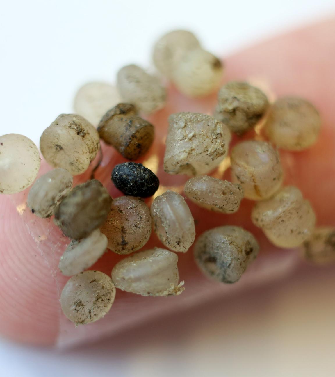 Wunzige Plastikteilchen auf einem Finger