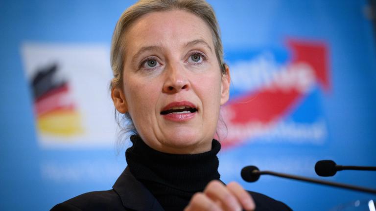 03.12.2024, Berlin: Alice Weidel, Vorsitzende der AfD-Bundestagsfraktion, äußert sich vor Beginn der Fraktionssitzung der Bundestagsfraktion der AfD im Deutschen Bundestag.