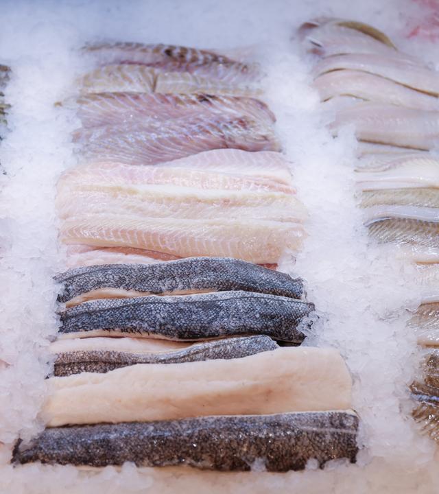 14.08.2024, Hamburg: Frische Filets verschiedener Fische liegen in der Auslage der Fischtheke im Frischeparadies Hamburg. 