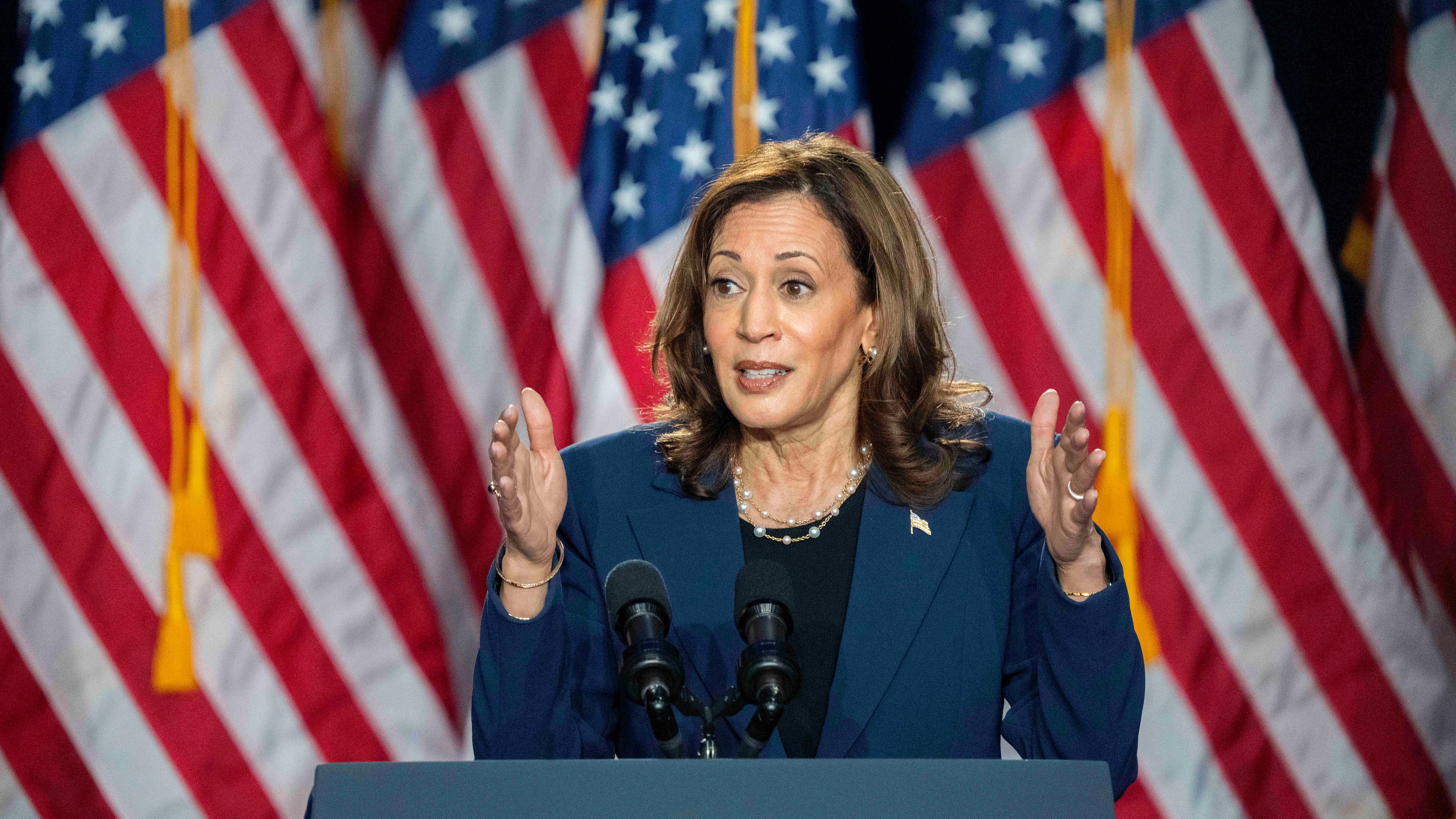 Wahl 2024 Harris