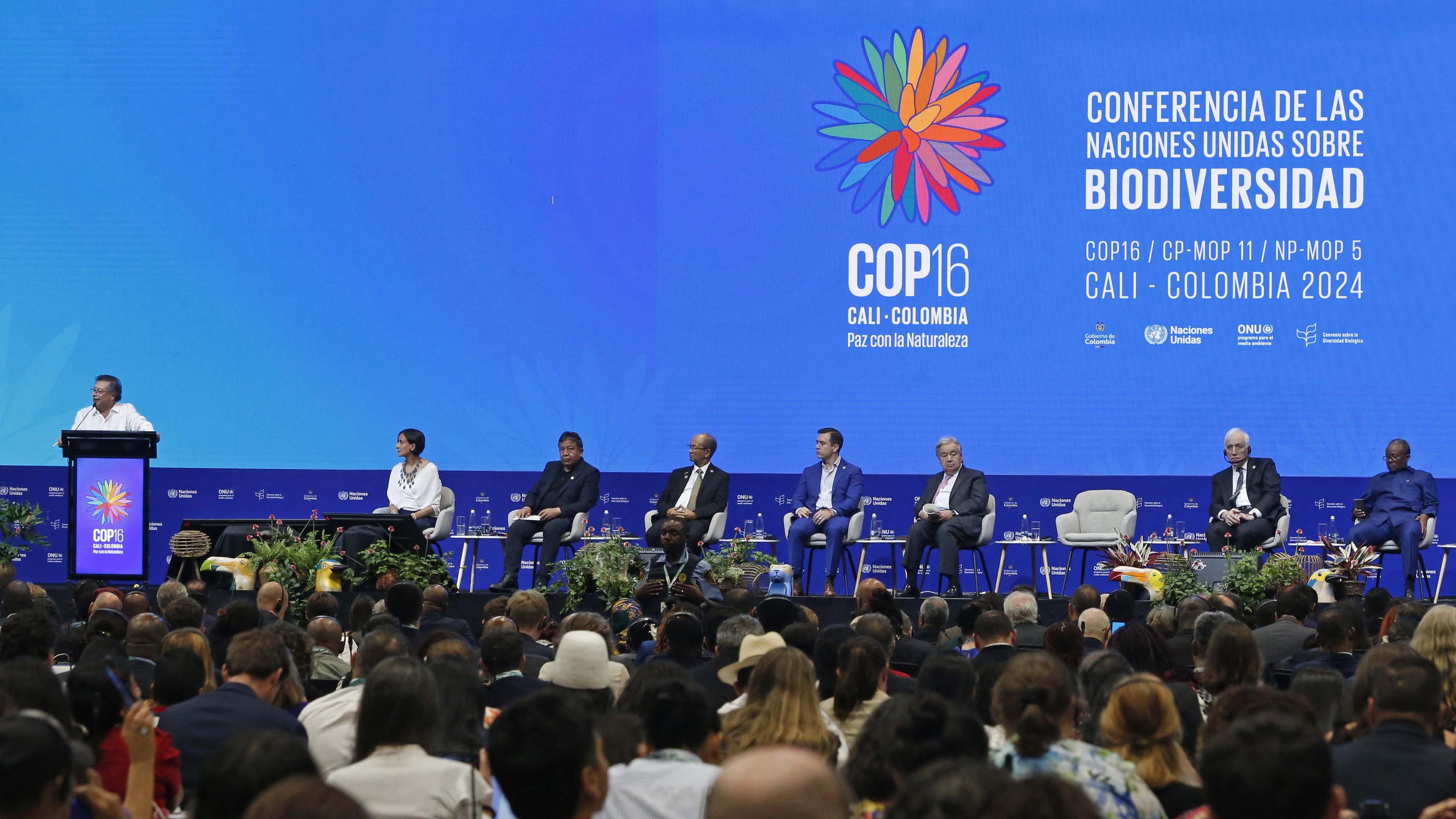 COP 16
