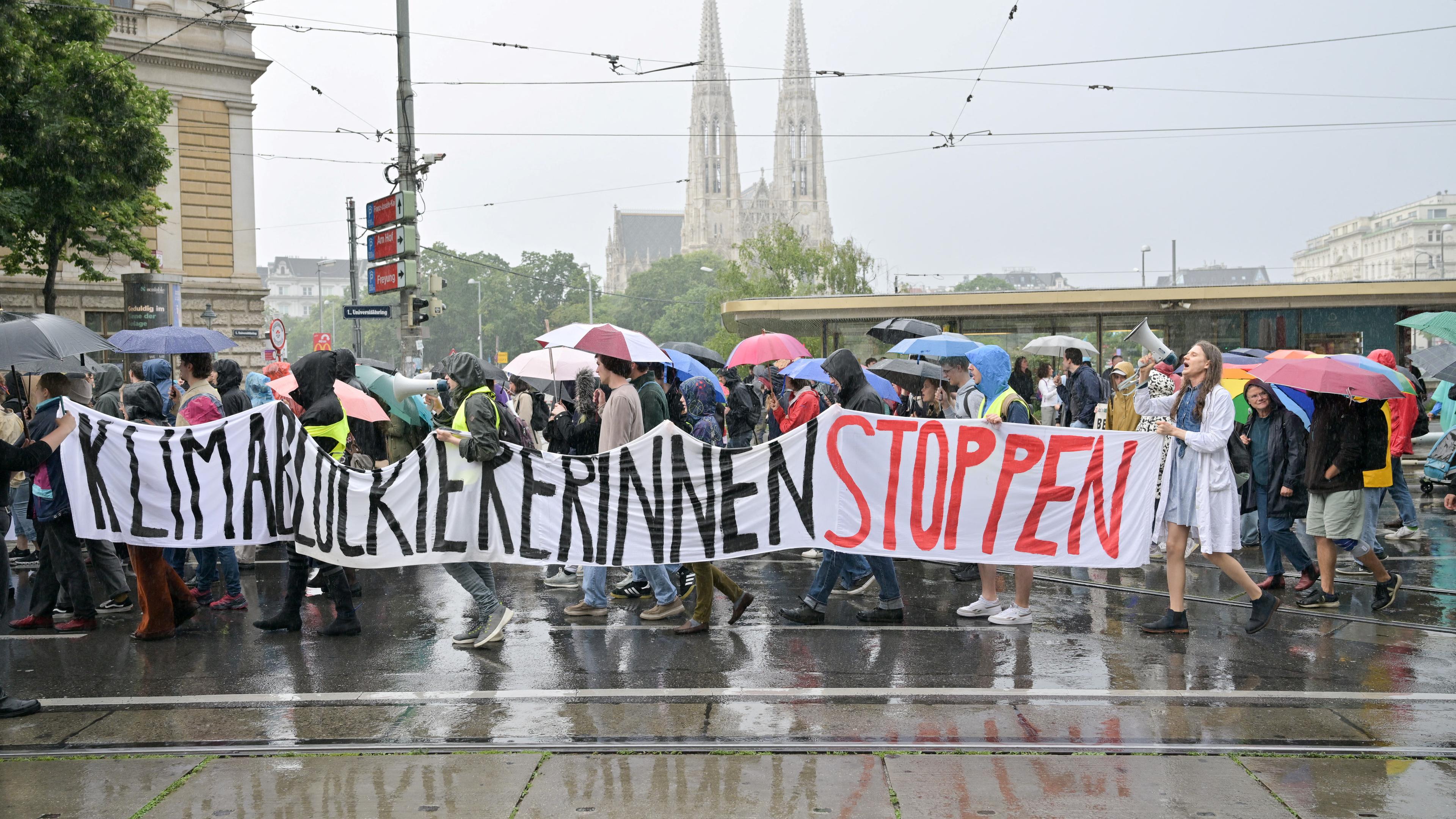 Tausende Menschen bei Klimastreiks 