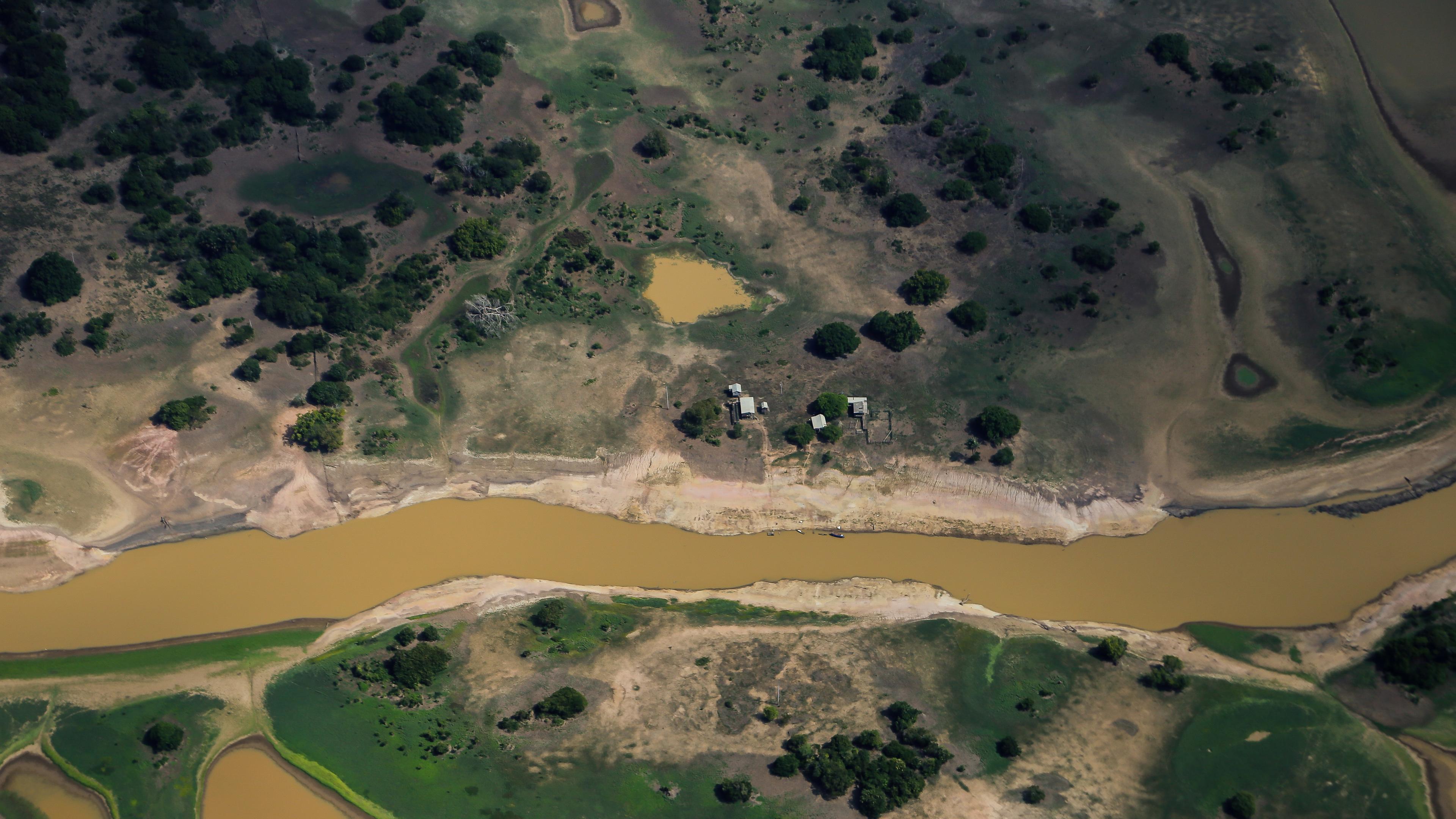 Dürre in Amazonas Regenwald