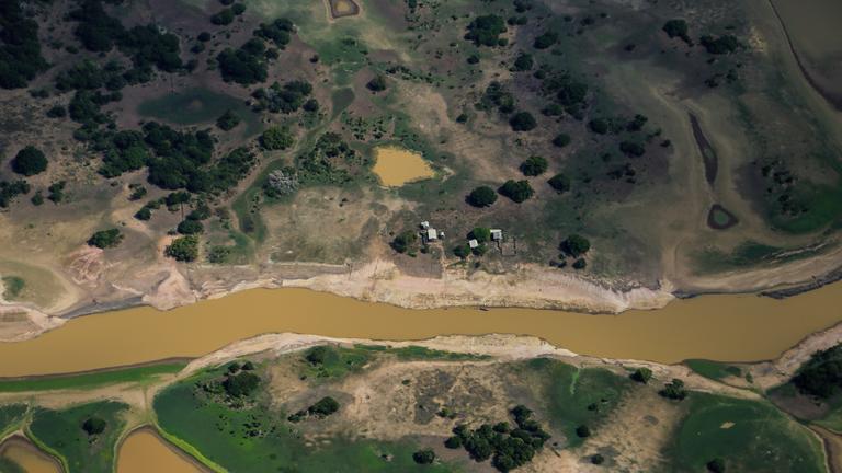 Dürre in Amazonas Regenwald