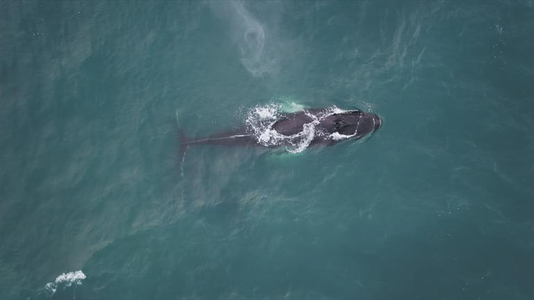 240129_heescher_hie22