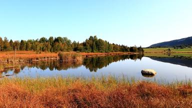 Moorlandschaft
