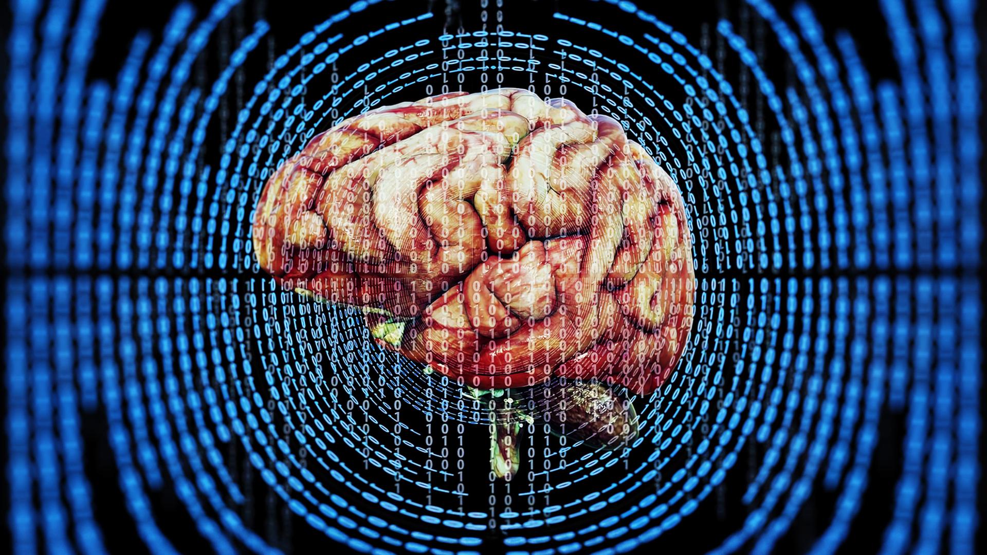 Brain-Hacks - Wer schtzt unsere Gedanken?