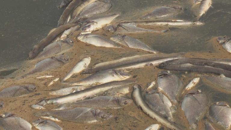 Bilder für Heute in Europa 08.08