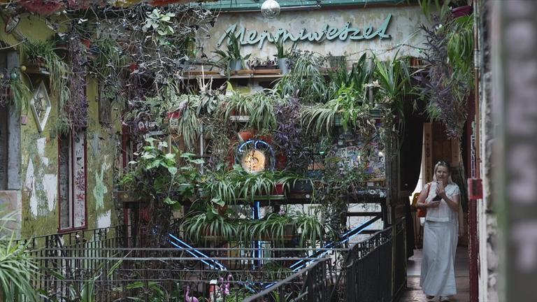 Pflanzen in Ruinen-Bar