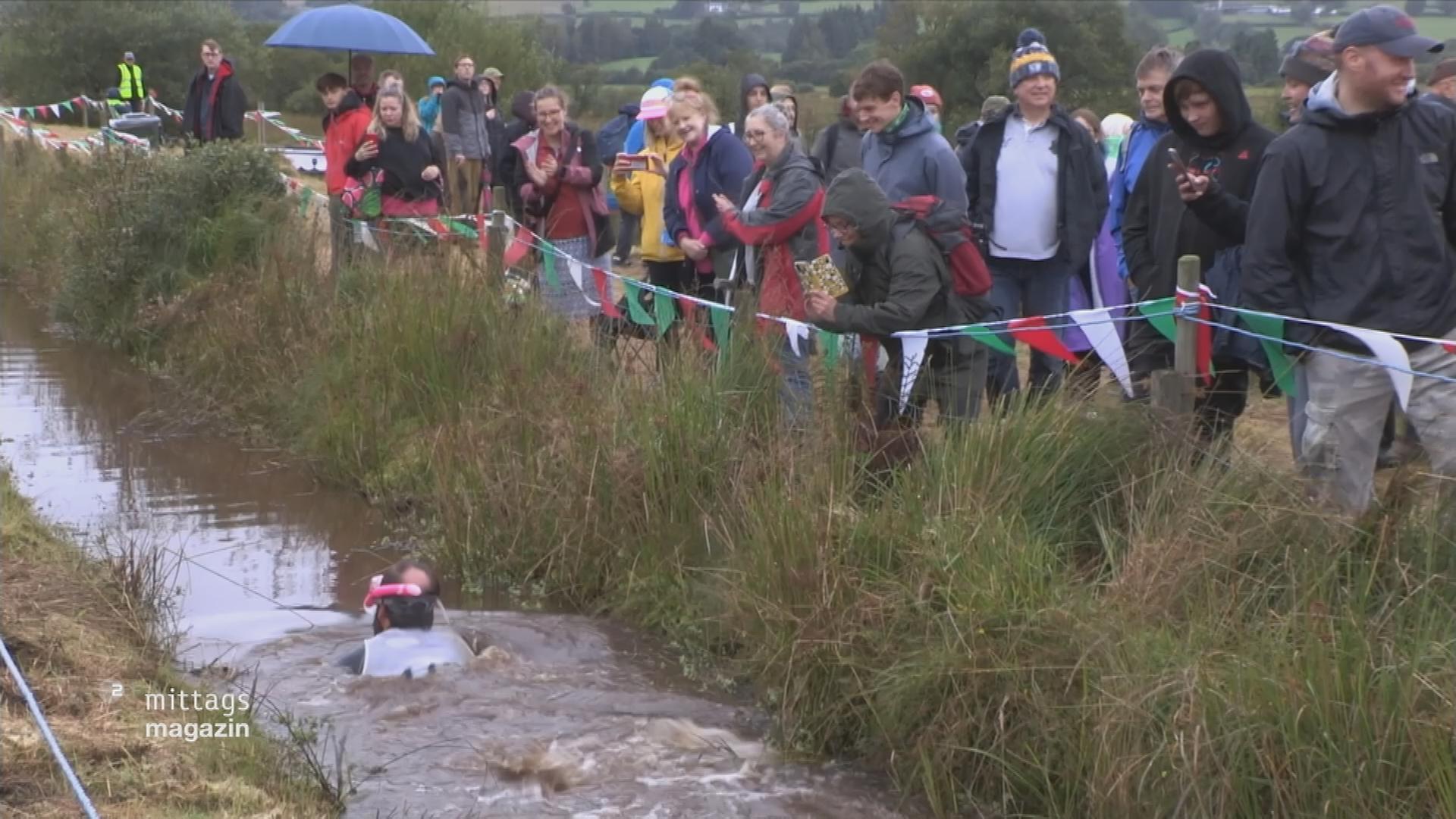 Ein Teilnehmer der "Bogsnorkling"-WM in Wales schwimmt durch einen schlammigen Wassergraben, während Zuschauende am Rand applaudieren