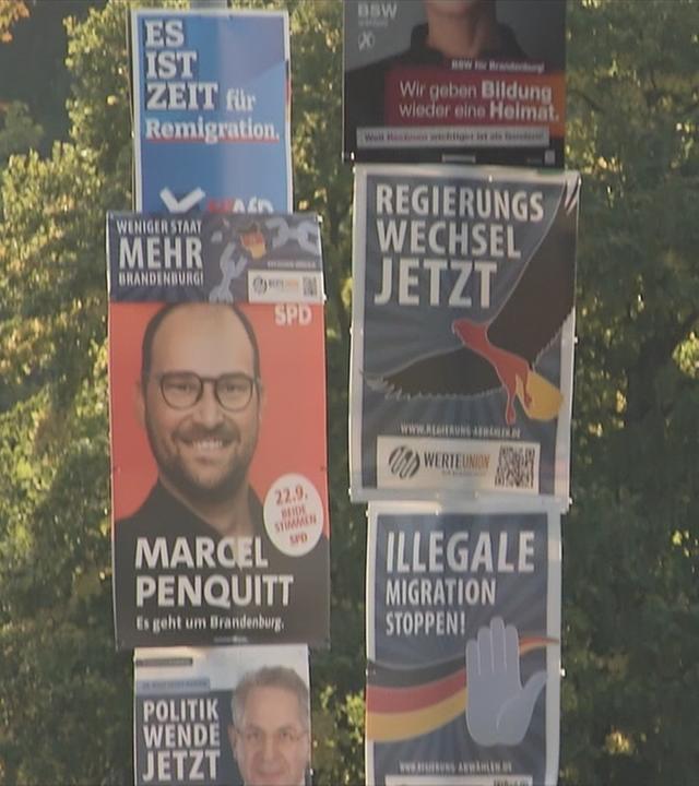 Wahlplakate in Brandenburg