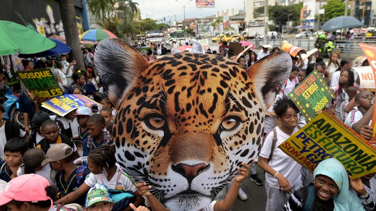 Geschehen auf der COP16