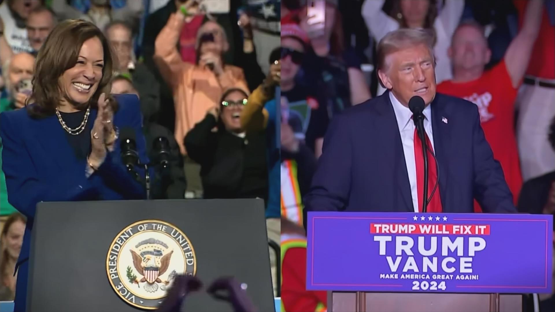 Trump oder Harris