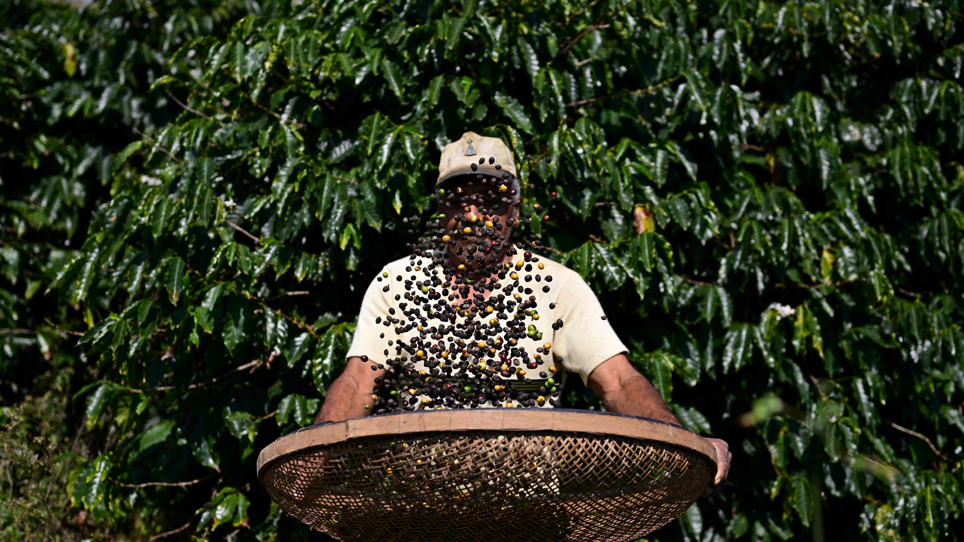 TOPSHOTS Coffee
