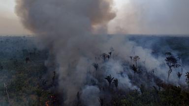 Waldbrand Amazonas