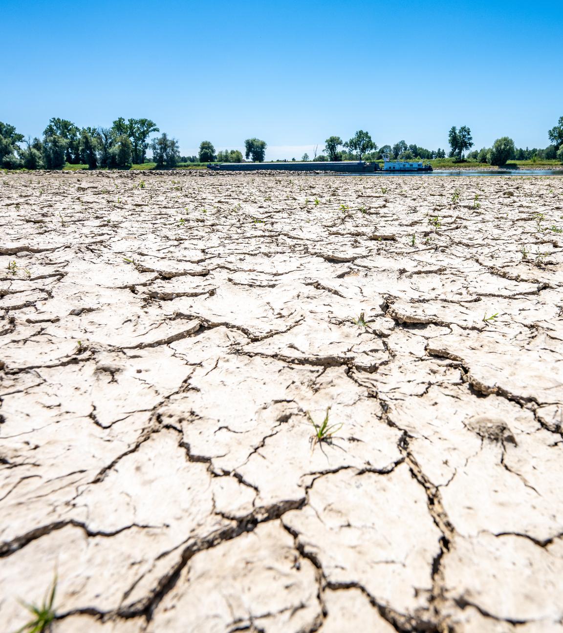 Aufgerissen und ausgetrocknet ist eine Sandbank an der Niedrigwasser führenden Donau.