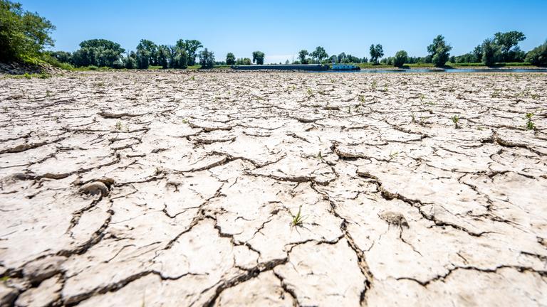 Aufgerissen und ausgetrocknet ist eine Sandbank an der Niedrigwasser führenden Donau.
