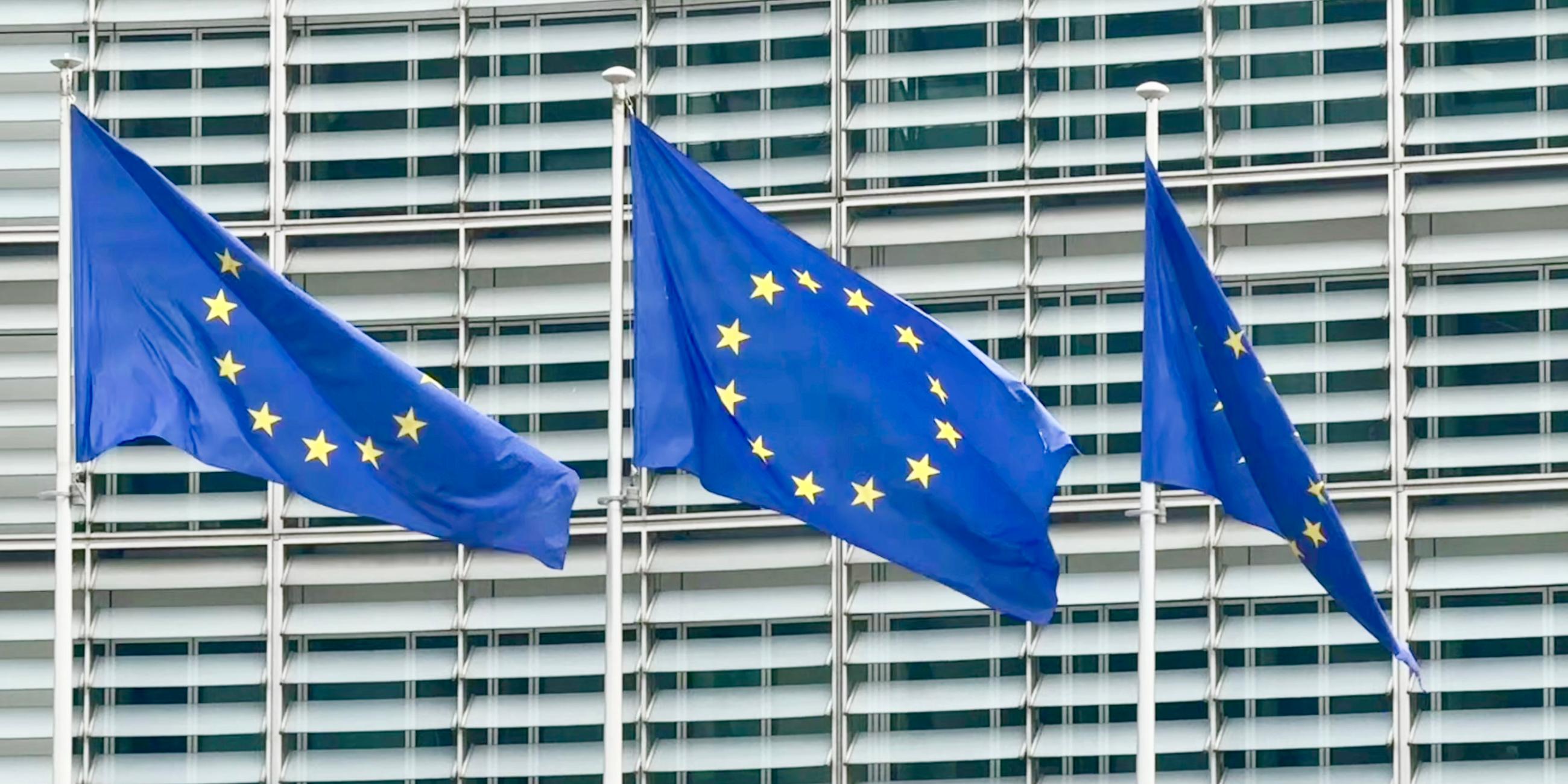EU-Flaggen