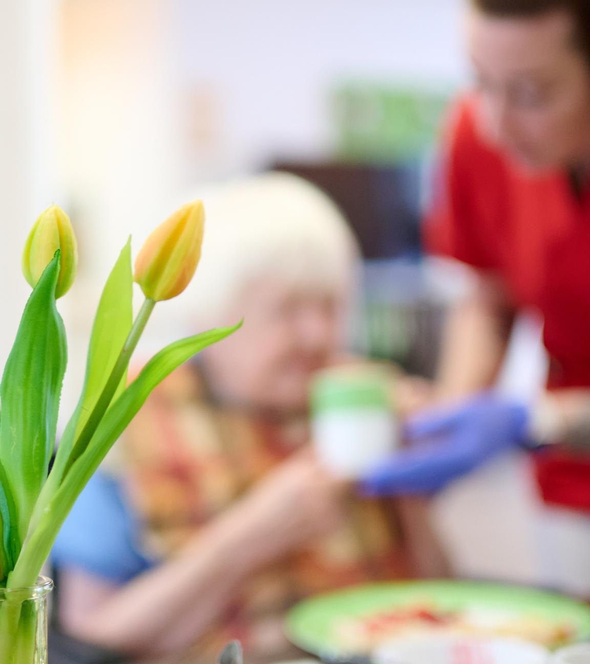 Eine Pflegekraft unterstützt eine Seniorin beim Frühstück im DRK-Pflegezentrum Solferino. Im Vordergrund steht eine Vase mit Tulpen.