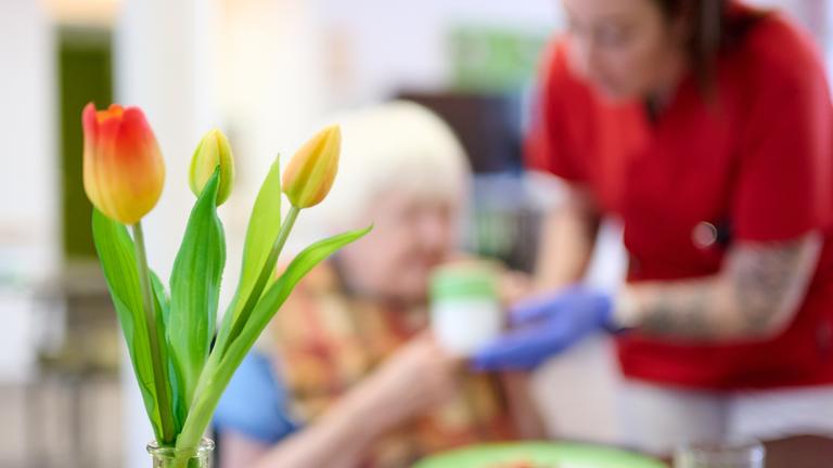 Eine Pflegekraft unterstützt eine Seniorin beim Frühstück im DRK-Pflegezentrum Solferino. Im Vordergrund steht eine Vase mit Tulpen.
