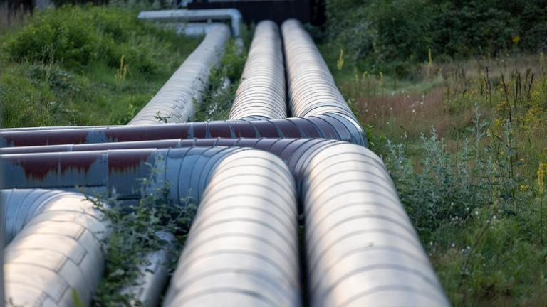 Nordrhein-Westfalen, Köln: Fernwärme-Rohre verlaufen durch Grünflächen.