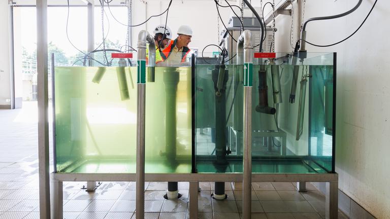 Der Unterschied, den die vierte Reinigungsstufe ausmacht, ist im Kontrollbecken gut zu erkennen. Super-Kläranlage